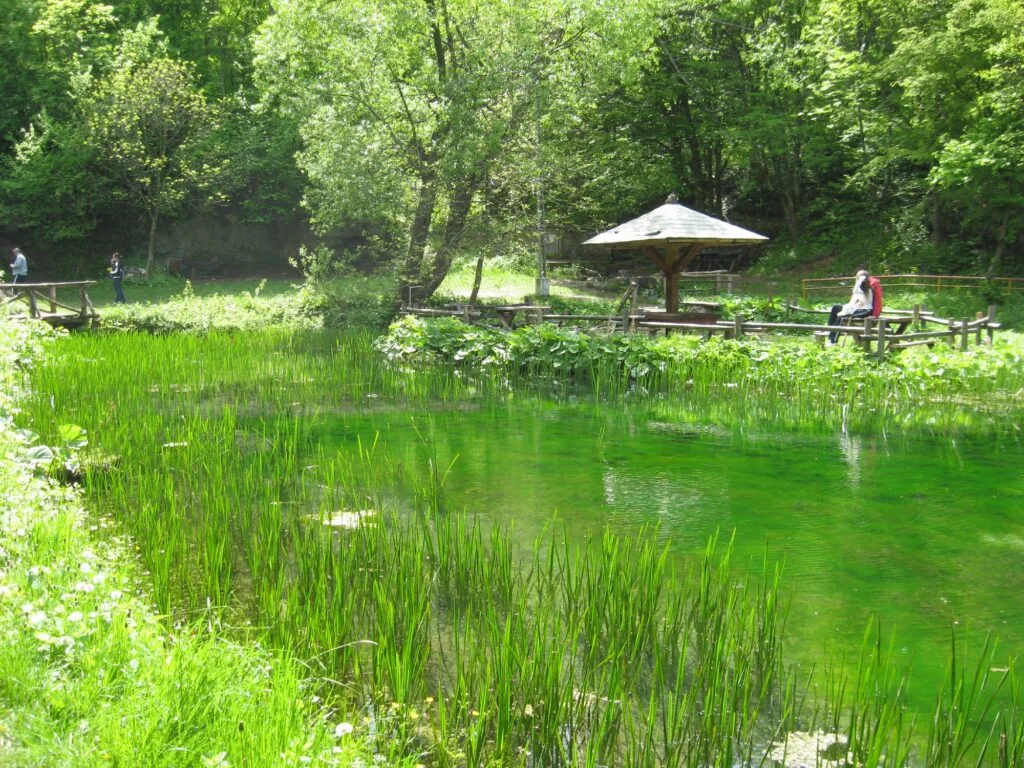 Turistička organizacija Sokobanje